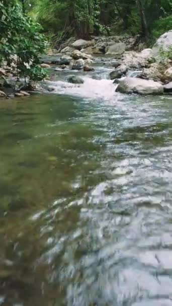 ドローンは 原始の森で旅行 山の川をキャプチャします 山の愛好家のための空想的な眺め エコツーリズムを強調する理想的な旅行 山の目的地 高品質の4K映像 — ストック動画