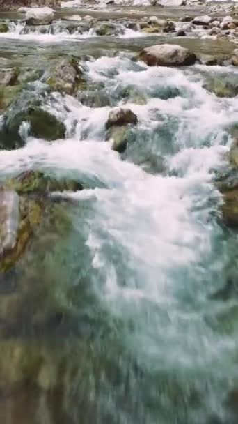 Drone Vole Bas Dessus Des Rapides Rivière Dans Paysage Montagne — Video
