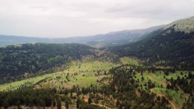 Nefes kesen bir hava manzarası, uzaktaki görkemli dağlarla çevrili ağaçlarla dolu yemyeşil bir vadi sergiliyor.