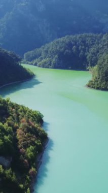 Zümrüt göl drone manzarası, dik orman kaplı kıyıları yakalıyor. Emerald Gölü 'nün videosu, el değmemiş doğa sahnesi. Zümrüt göl hava görüntüleri uzak güzellikleri gösteriyor. Yüksek kalite 4k görüntü