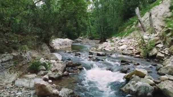 Pohled Les Řeku Horské Oblasti Letecký Záznam Ukazuje Les Řeku — Stock video