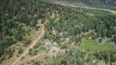 İnsansız hava aracı görüntüleri yolu yakalar, sakin bir ormanlık alandaki dağlar, dolambaçlı toprak yolu, yemyeşil arazi boyunca dağları takip eder. Yol, dağlar ve yeşil manzaranın havadan görünüşü.