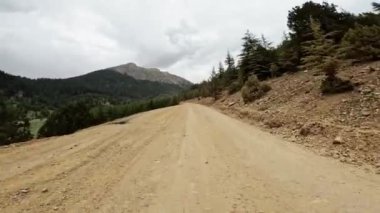 Yükselen ağaçlar ve görkemli dağlarla çevrili dolambaçlı toprak bir yol boyunca bir yolculuğa çıkın. Yılan yolunu tecrübe et doğanın güzelliğinde.