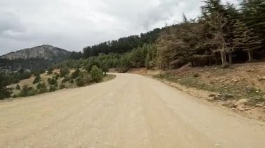 Etrafı verimli ağaçlarla çevrili, arka planda yüksek dağlar olan, dolambaçlı toprak bir yoldan geçmek, sakin ve manzaralı bir doğanın özünü yakalamak..