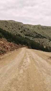 Engebeli bir toprak yol, uzaktaki görkemli dağlar tarafından çerçevelenmiş, ormanlık bir arazide esiyor..