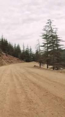 Görüntüler Highland Road 'da seyahat ettiğini gösteriyor. Manzaraları ortaya çıkarıyor. Seyahat deneyimlerini ve manzaralı yolları vurgulamak, doğal güzellik ve macera sergilemek için mükemmel. Yüksek kalite 4k görüntü