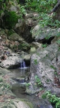 Serin yeşil bir vadide kayaların üzerinden akan bir orman deresini gösteren sakin bir video..