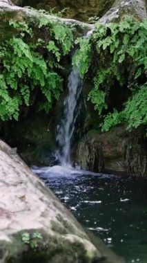 Küçük, huzurlu bir dere ıssız bir ormanda yosun kaplı kayaların üzerine dökülüyor..