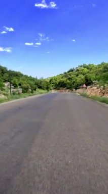 Dolambaçlı bir dağ yolu boyunca yükselen çamların arasından manzaralı bir yolculuk..