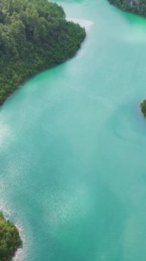 Bereketli, yeşil bir ormanın içinden akan turkuaz bir nehrin havadan görünüşü. Huzurlu nehir etrafını saran sık ağaçlarla güzel bir tezat oluşturuyor.