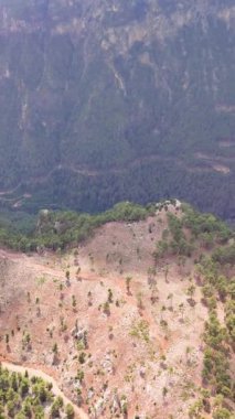 İnsansız hava aracının canlı orman dağlarında süzülerek nefes kesici güzelliklerini ortaya çıkarmasıyla nefes kesici bir hava keşfi yaşayın..