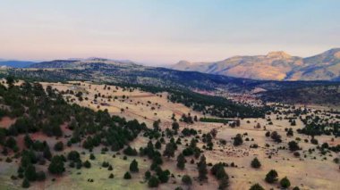 Resimli alacakaranlık, yayılan bir dağ manzarasının üzerine yumuşak bir parıltı saçıyor. Koyun sürüsü yemyeşil otlaklarda huzur içinde otluyor. Huzurlu ve huzurlu bir manzara yaratıyor.
