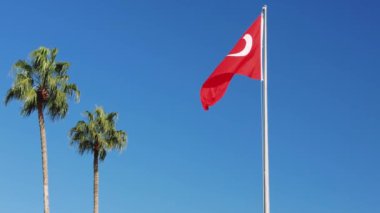 Türk bayrağı, açık mavi gökyüzüne karşı iki palmiye ağacıyla çevrili bir bayrak direğinde dalgalanmakta. Coşkulu bir sahne. Yazı, vatanseverliği ve ulusal gururu yansıtıyor.
