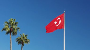 Bir bayrak direğinde dalgalanan canlı Türk bayrağı beyaz bir ay ve yıldızla süslenmiş kırmızı arka planını gözler önüne seriyor. Yakınlarda, rüzgarda sallanan iki palmiye ağacı.