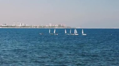 Beyaz yelkenli yedi yelkenli hattı çerçevenin solundan sağa doğru süzülüyor. Her tekne aynı hızda devam ediyor, suda uyumlu bir sahne yaratıyor.