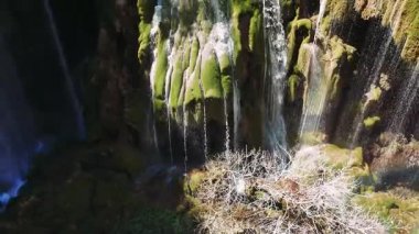 Verdant yosun kaplı uçurum çağlayan su salıyor. El değmemiş Türk yaban hayatı içinde büyüleyici bir şelale oluşturuyorlar. Doğal jeolojik güzellik ve dingin çevre uyumu açığa çıkıyor.