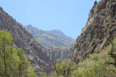 Kafkas dağlarındaki dağ sıraları.