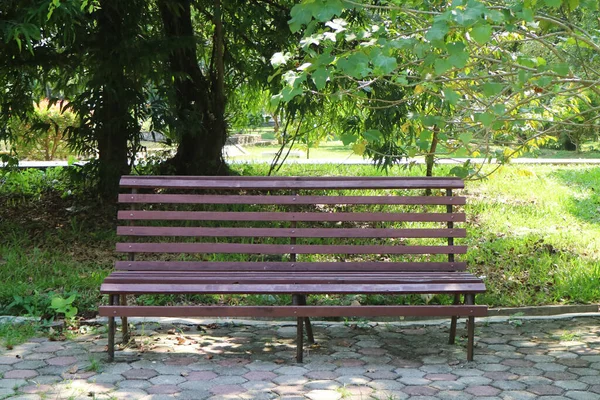 Bench Brown Park Streaked Sun Bench Middle Grass — Stock Photo, Image