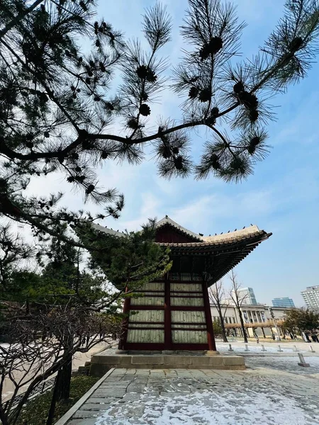 서울에 창데옥 일부는 축물이며 유네스코 세계유산으로 지정되어 — 스톡 사진