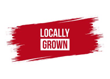 Yerel olarak geliştirilmiş fırça stili sancak vektör tasarımı illüstrasyonu