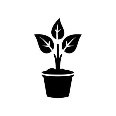 Kapalı alan bitki ikonu. Beyaz arka planda siyah bitki simgesi. Vektör illüstrasyonu