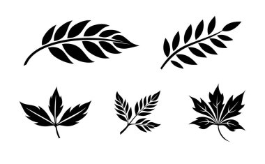 Yaprak simgesi ayarlandı. Beyaz arkaplanda siyah yaprak simgesi var. Vektör illüstrasyonu