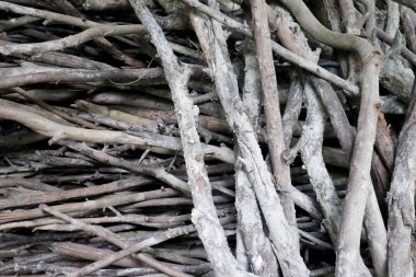 Birbirine dolanmış, yaşlanmış ve yıpranmış dal yığınları el sanatları ve tasarım için doğal arka plan dokusu