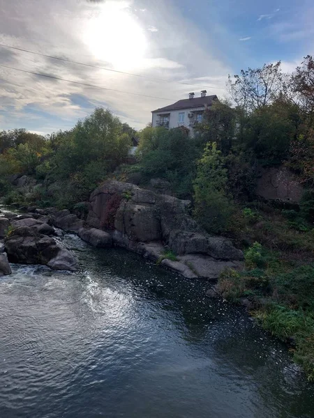 Ormanda nehri olan güzel bir manzara.