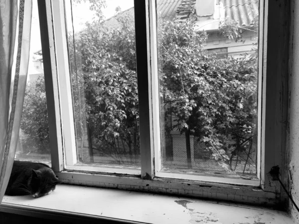 Pencereli Bir Pencerenin Siyah Beyaz Fotoğrafı — Stok fotoğraf