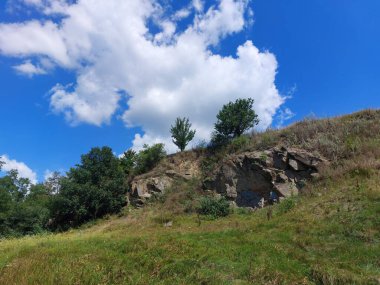 Ağacı ve dağı olan güzel bir manzara.