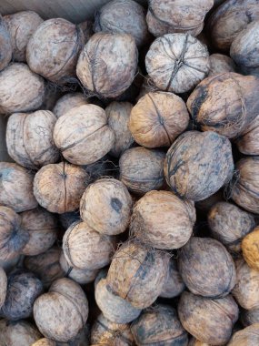 Ceviz yığınını kapat.