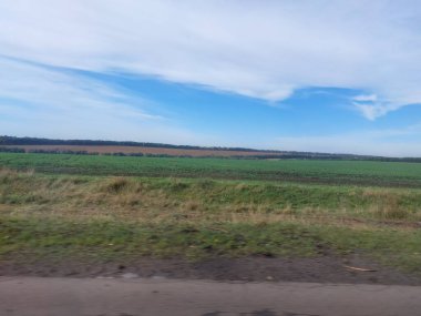 Buğday tarlası ve mavi gökyüzü olan güzel bir manzara.