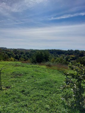 Güzel bir manzara Ağacı ve mavi gökyüzü