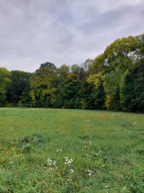 Ağaçlar ve yapraklarla dolu sonbahar manzarası