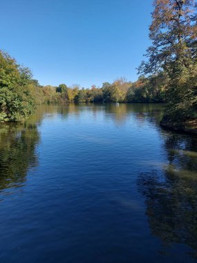 Parktaki gölün güzel manzarası