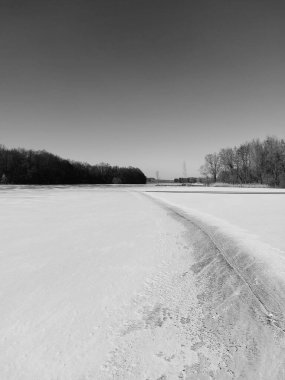 Ağaçlı kış manzarası