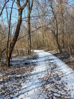 Karla kaplı ağaçlarla kaplı güzel kış manzarası
