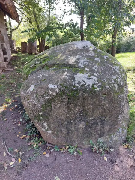 Parktaki eski taş duvar.