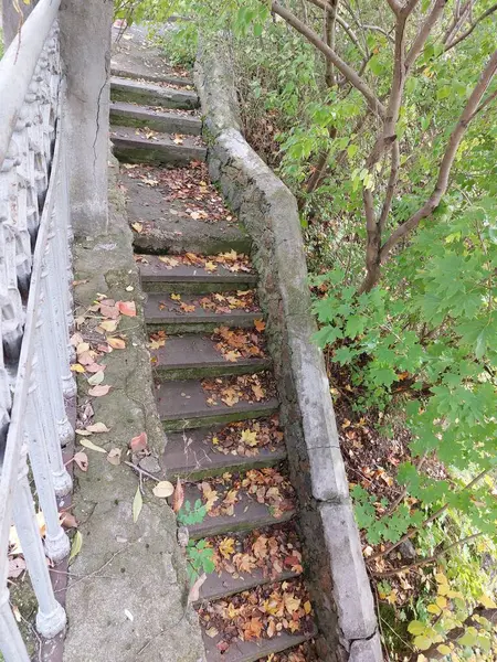 Parktaki eski ahşap merdiven
