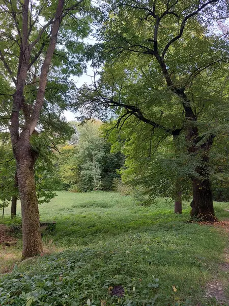 Parkın güzel manzarası