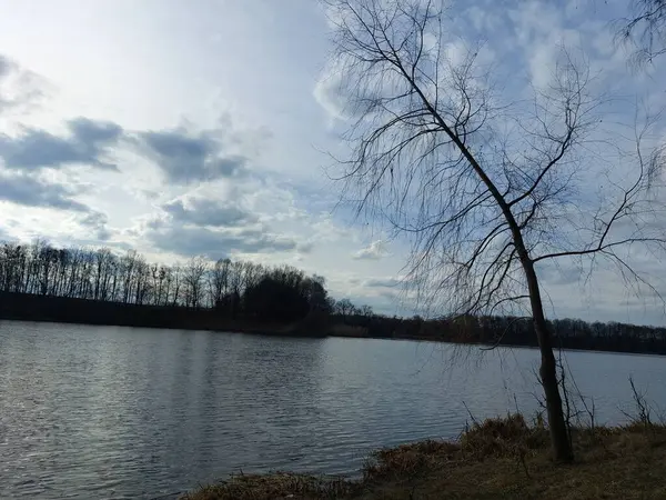 Parktaki gölün güzel manzarası