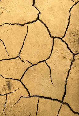 Kil kuraklıktan çatlıyor..