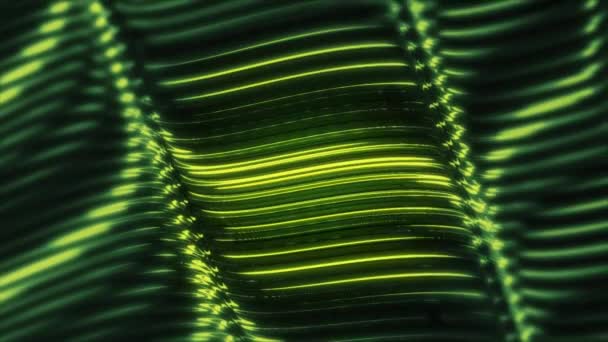 Verde Brillante Líneas Neón Abstracto Tecnología Futurista Movimiento Fondo Animación — Vídeos de Stock