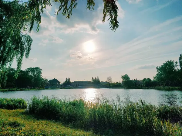 Güneşli bir yaz gününde göl