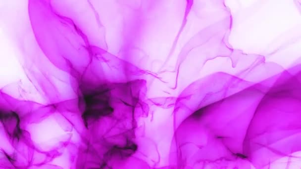 Patrón Ondas Color Rosa Claro Brillante Flujo Abstracción Colorido Moda — Vídeos de Stock