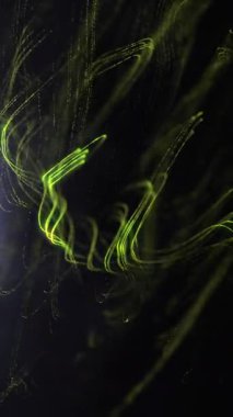 Parlayan yeşil çizgiler koyu bir arkaplanda kıvrılarak dinamik soyut hareket yaratır..