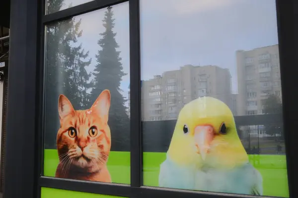 Bir pencereye bir turuncu kedi ve sarı kuş basılır. Binalar dışarıda..