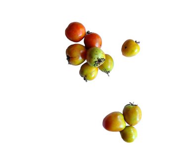 Beyaz zemin üzerinde su damlaları olan taze domatesler