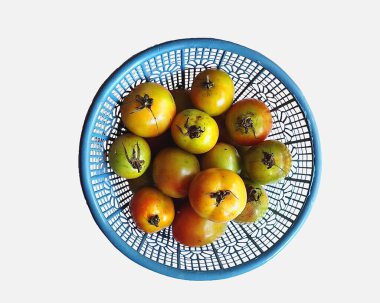 Beyaz arka planda taze kırmızı, sarı ve mavi domatesler.