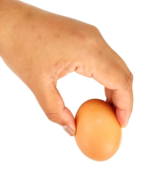 Ręka Trzymająca Jajko Kurczaka Białym Tle — Zdjęcie stockowe